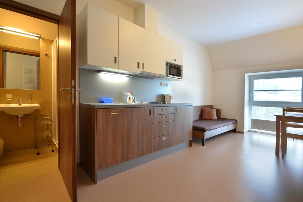Apartmany Rokytka Snowhouse Rokytnice nad Jizerou Exterior foto